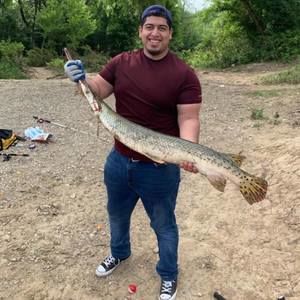 Meet your Posher, Jose